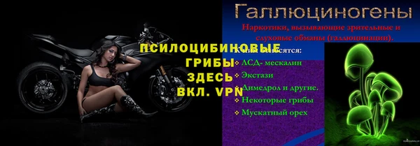 стаф Алзамай