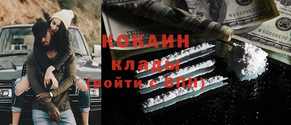 стаф Алзамай