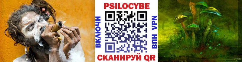 продажа наркотиков  Белокуриха  Псилоцибиновые грибы мицелий 